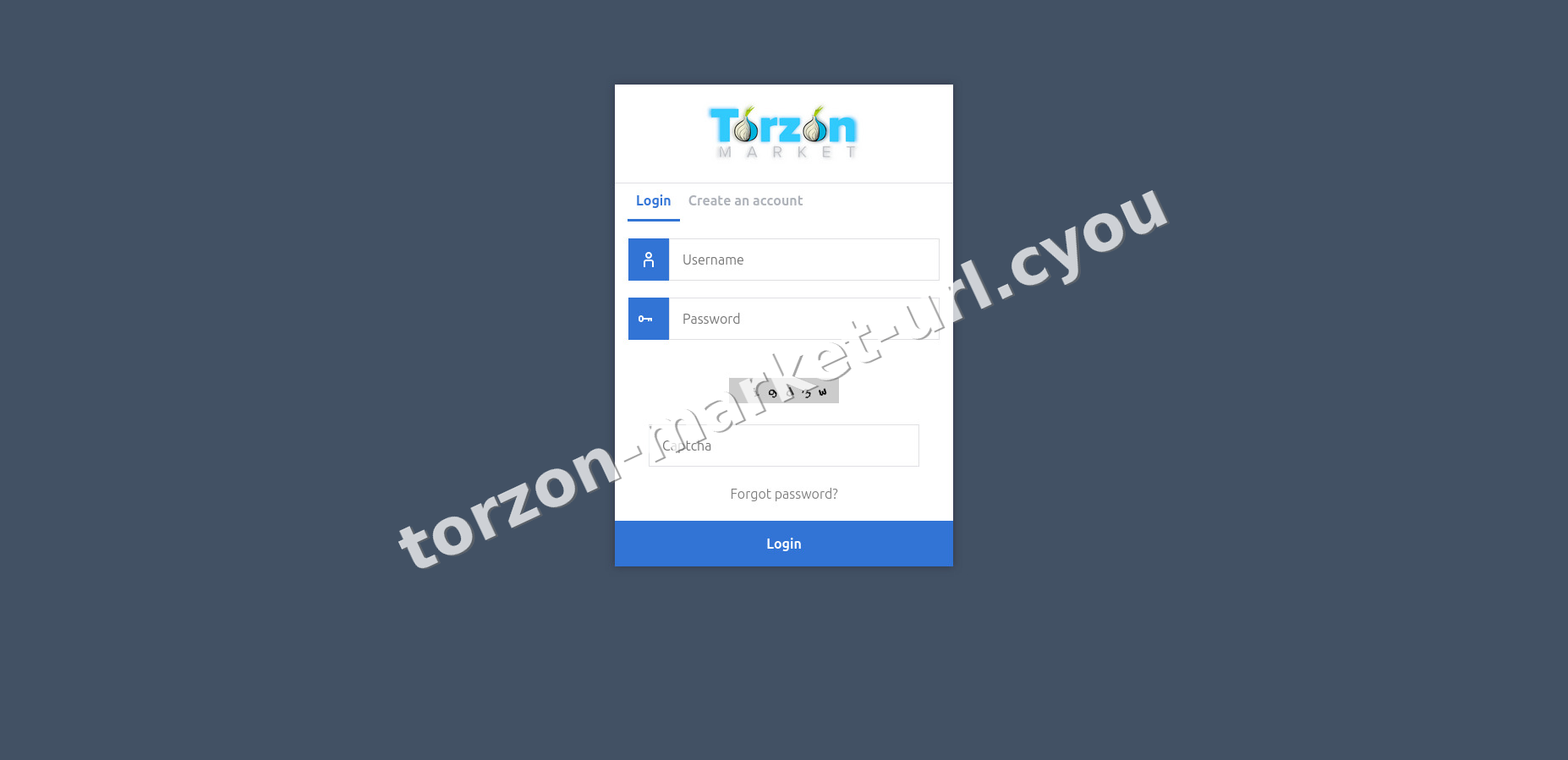 Torzon Market interface — view 2