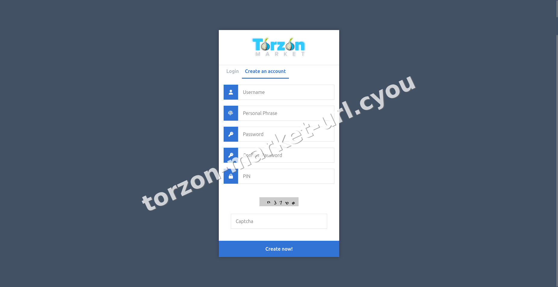 Torzon Market interface — view 3