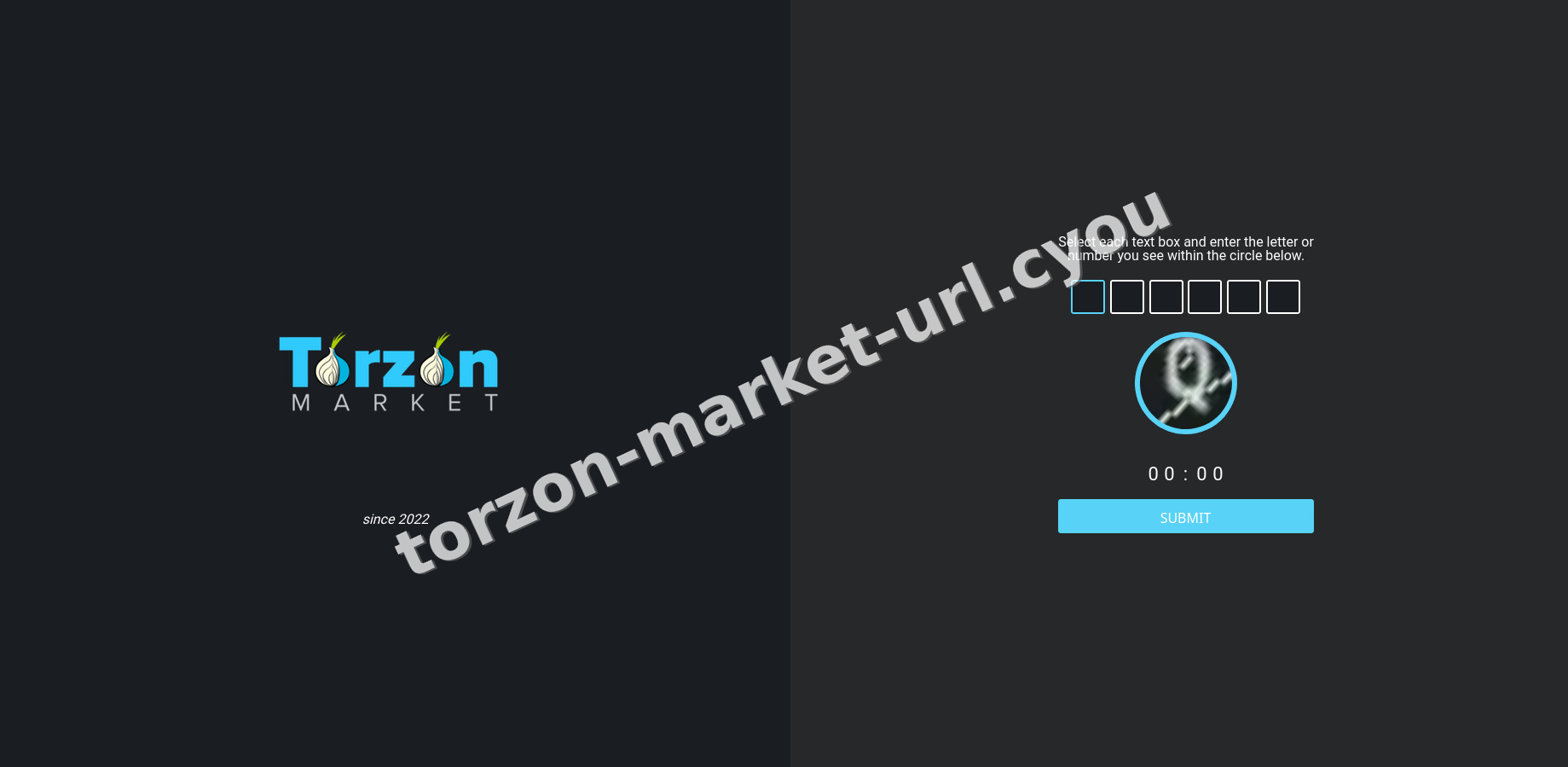 Torzon Market interface — view 4